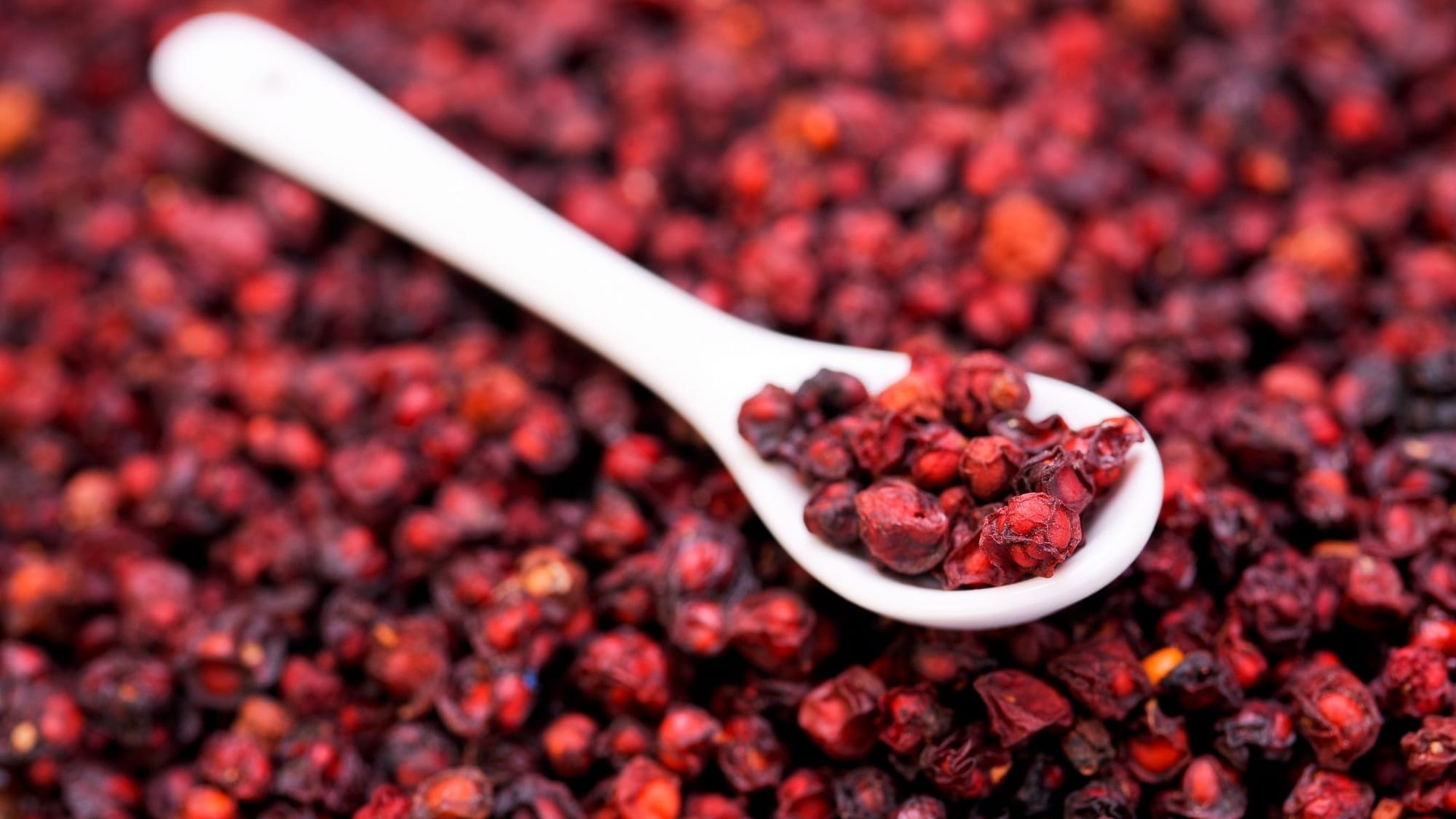 Schisandra et Sommeil