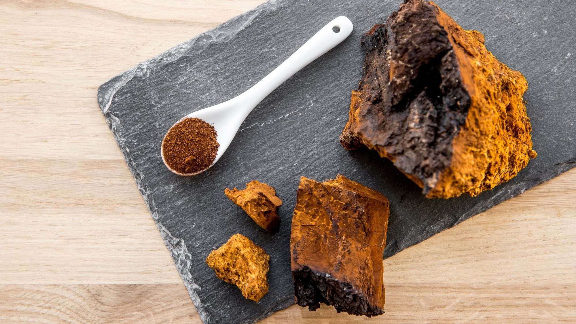 champignon adaptogène chaga