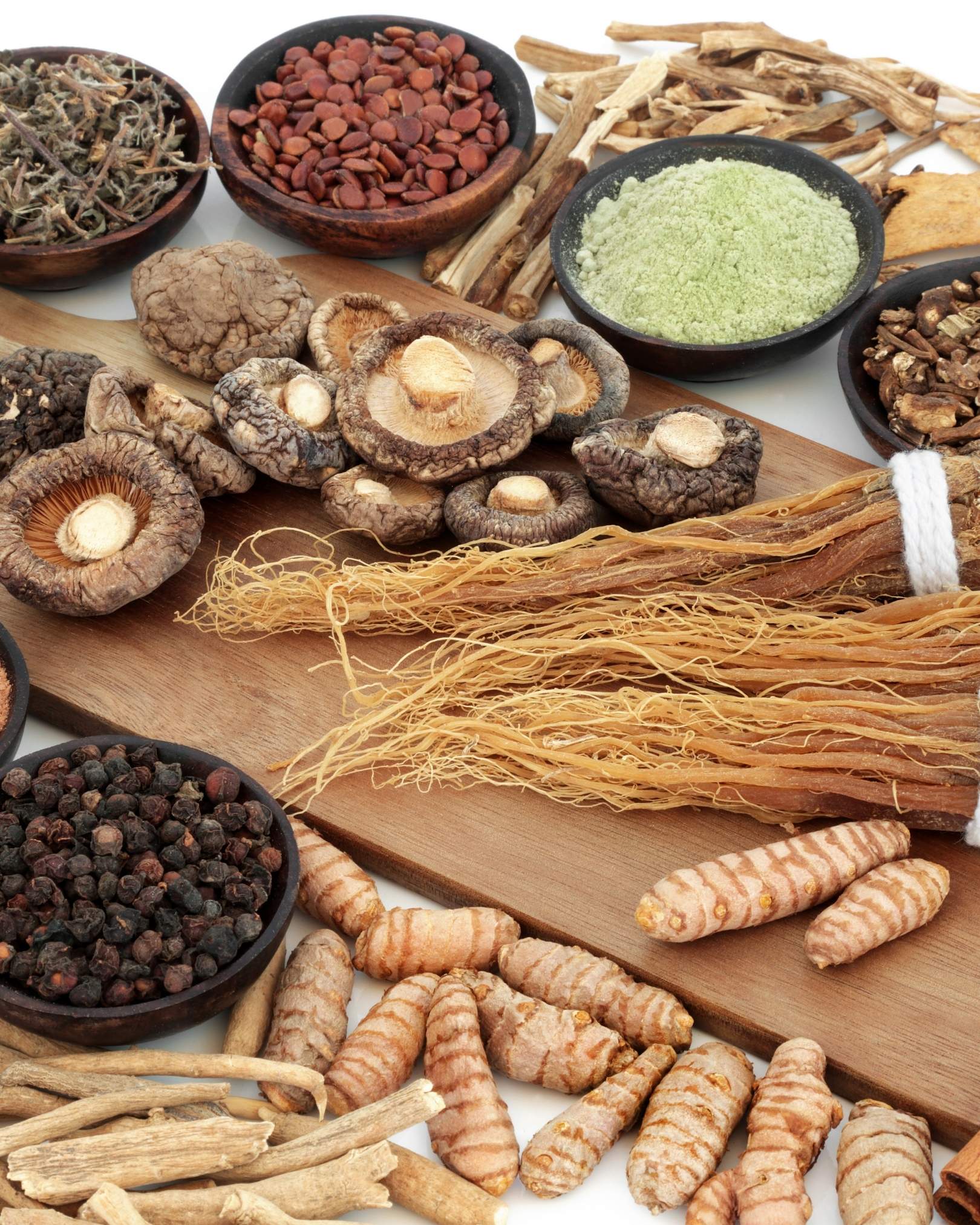 bienfaits champignons adaptogènes